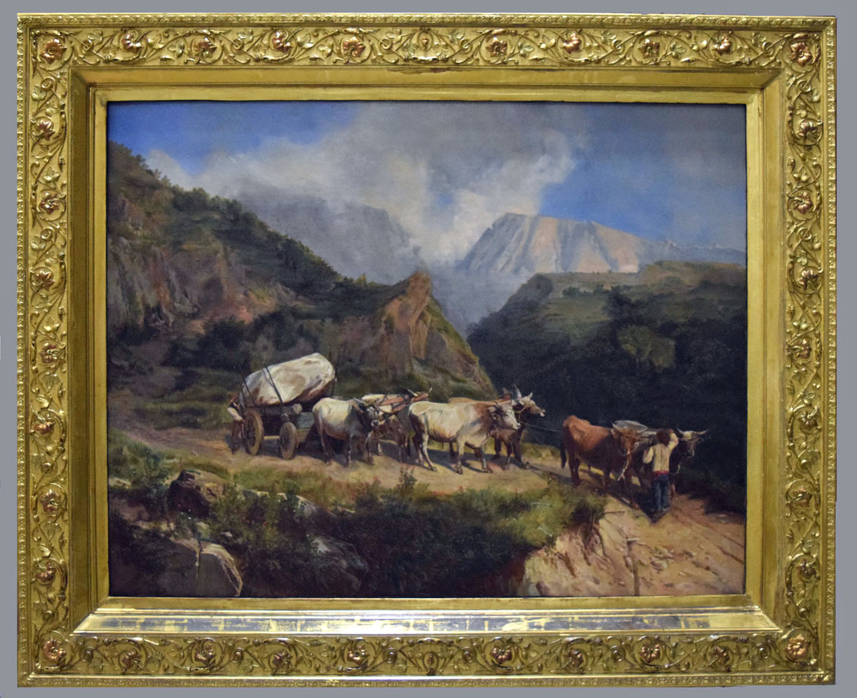 Landscape after conservation